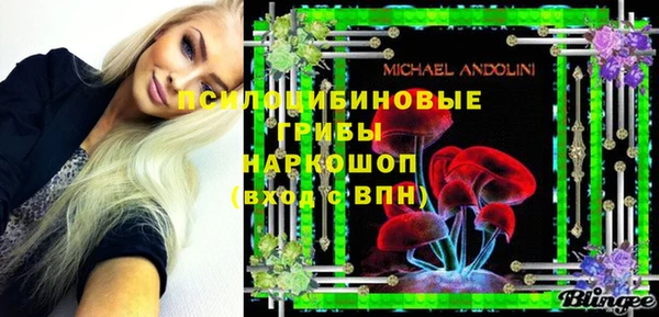 Альфа ПВП Алексин