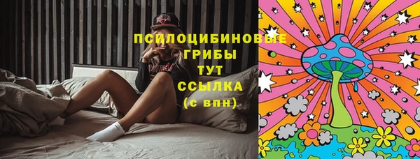 Альфа ПВП Алексин