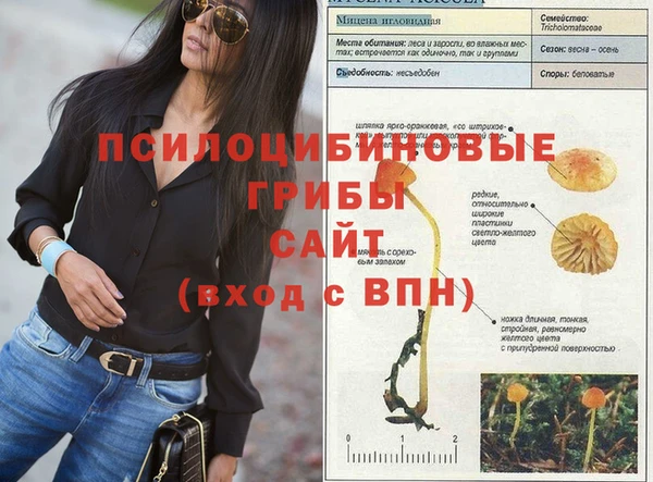 гидра Алексеевка
